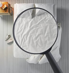 Le guide complet des punaises de lit et comment s'en débarrasser
