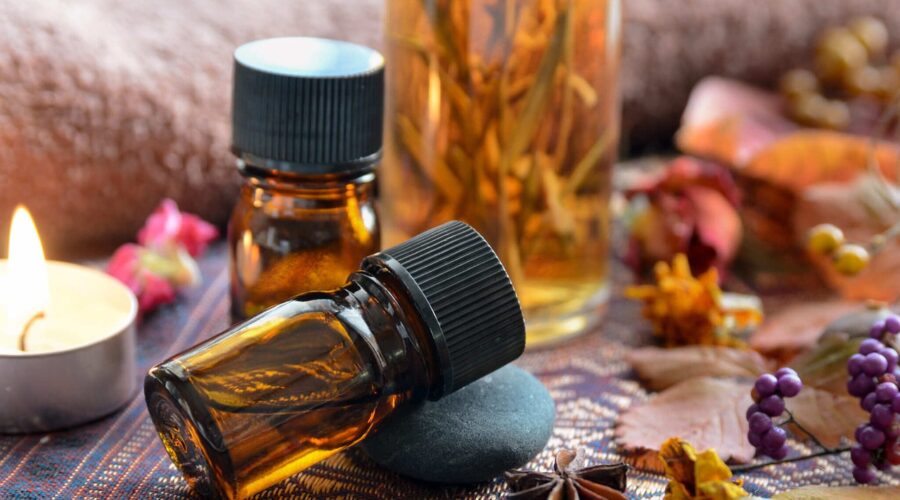 Le_guide_ultime_des_produits_de_résistance_aux_rongeurs_pour_votre_maison