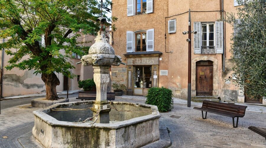 Pour_une_maison_propre_et_respectueuse_de_la_nature_:_tout_savoir_sur_la_dératisation_écologique