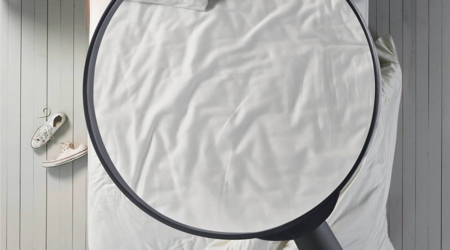 Le guide complet des punaises de lit et comment s'en débarrasser